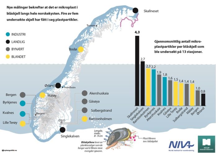 2017-12-11-blaaskjell-mikroplast-kartill blåskjell mikroplast