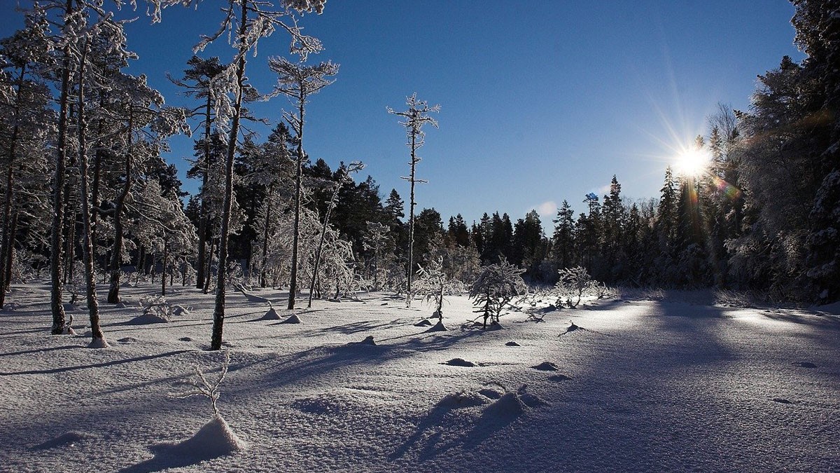 ostmarka-pixabay